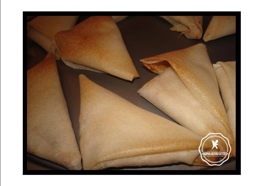 Brick au thon et au fromage frais