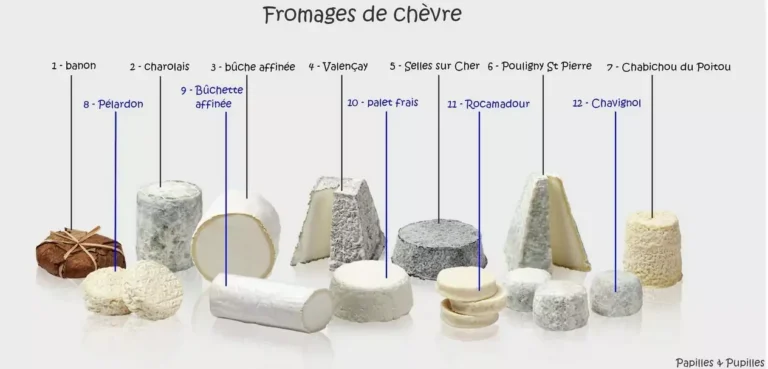 les fromages de chèvre