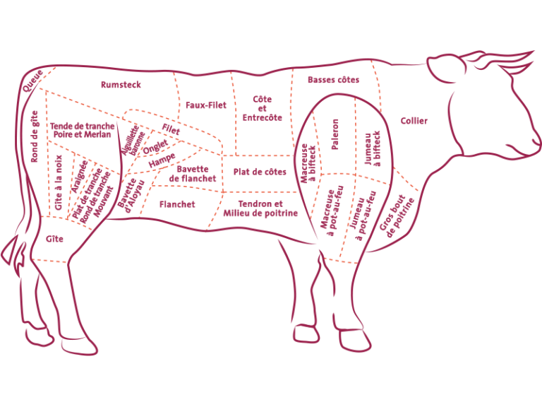 morceaux de boeuf