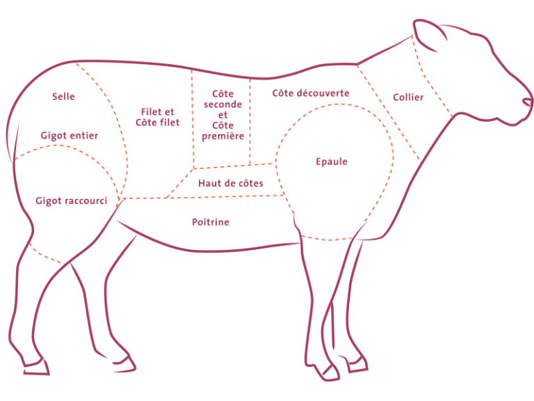 morceaux de d’agneau